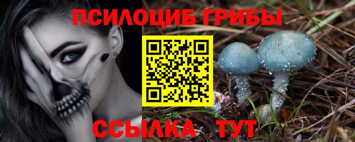 Благовещенск  Псилоцибиновые грибы мицелий  Вход с VPN 